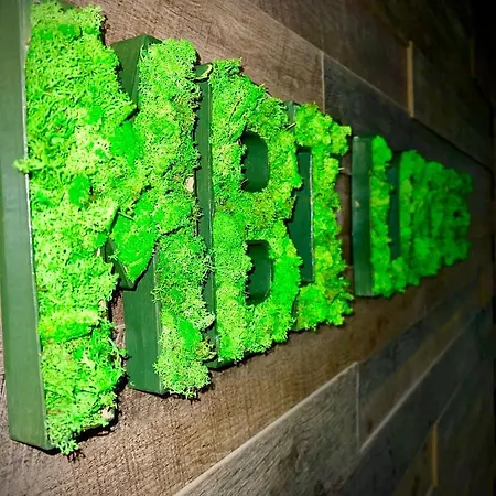 Mbi Travel Hotel