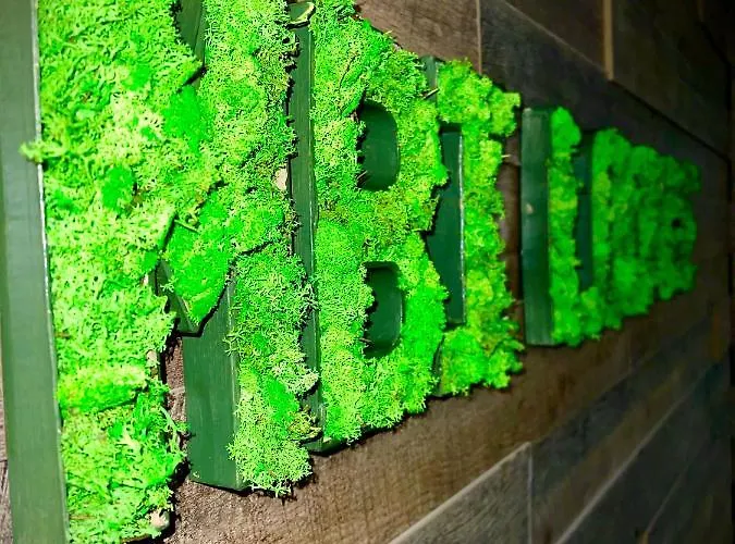 Mbi Travel Отель